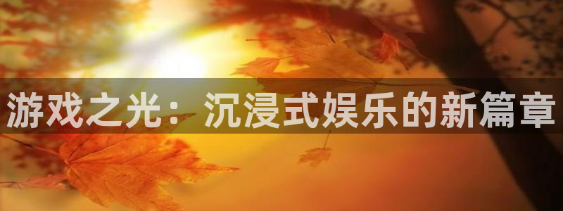 游戏之光：沉浸式娱乐的新篇章