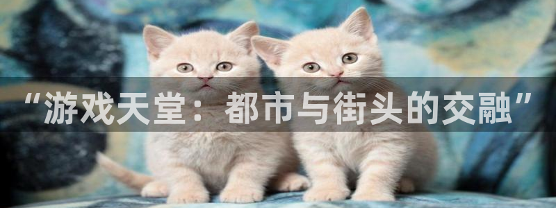 “游戏天堂：都市与街头的交融”