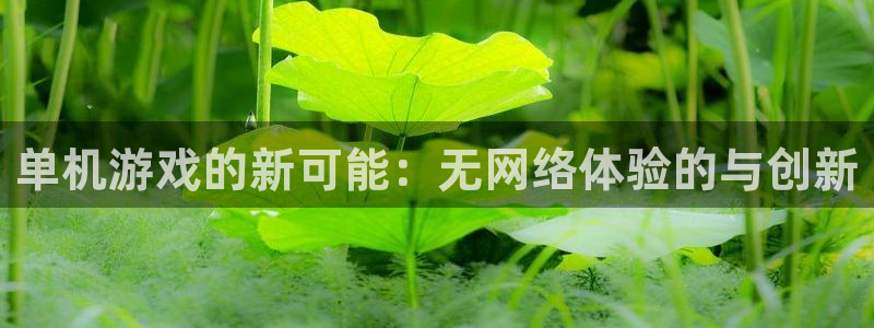 雷火竞技官方正版入口：单机游戏的新可能：无网络体验的与创新
