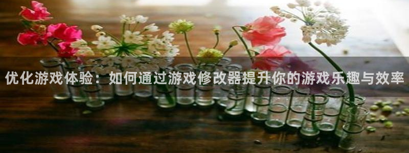 雷火竞技电竞官网入口网址：优化游戏体验：如何通过游戏修改器提